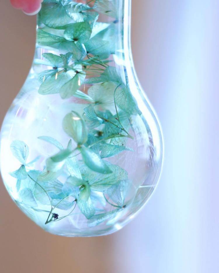 flowers suspended in light bulbs 12 (1)