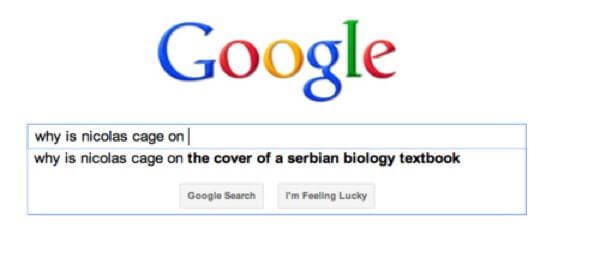 lol google searches 21 (1)
