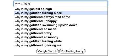 funniest google searches 28 (1)
