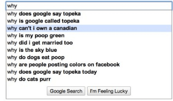 funny online searches 7 (1)