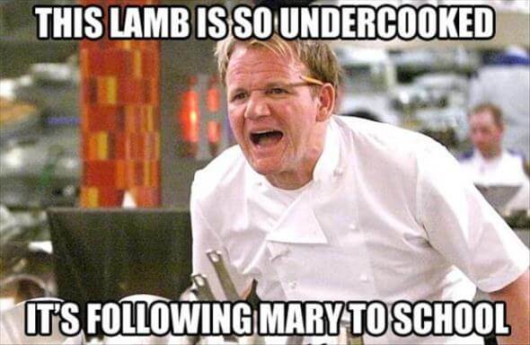 gordon ramsay lashing out 11 (1)