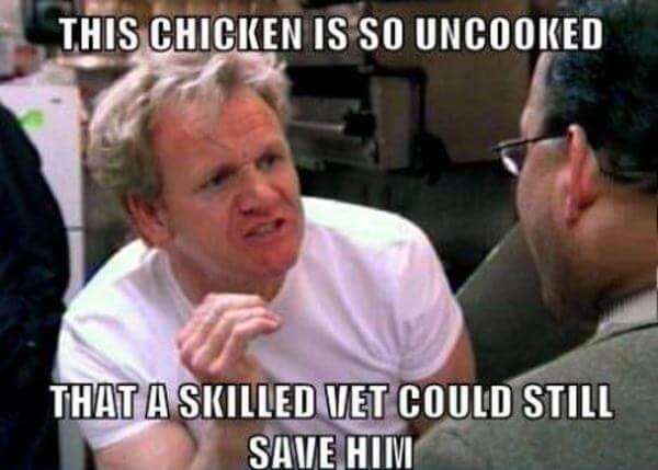 gordon ramsay lashing out 7 (1)