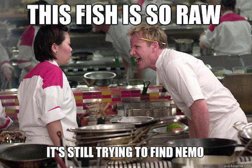 gordon ramsay memes 15 (1)