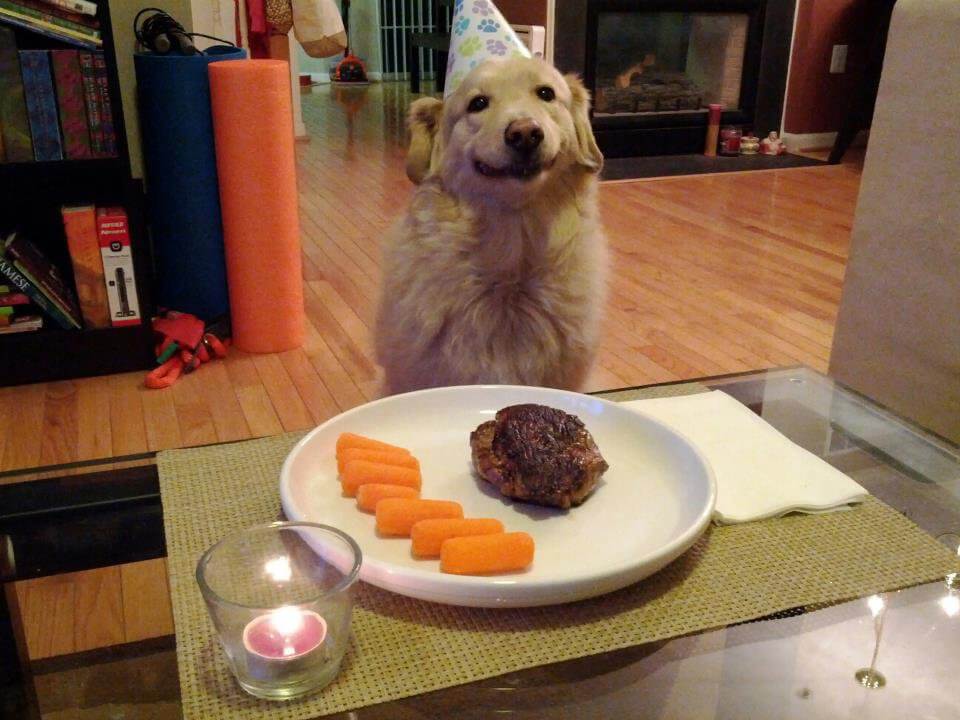 These 31 Happy Birthday Dog Images Are So Cute I'm Wagging My Imaginary Tail