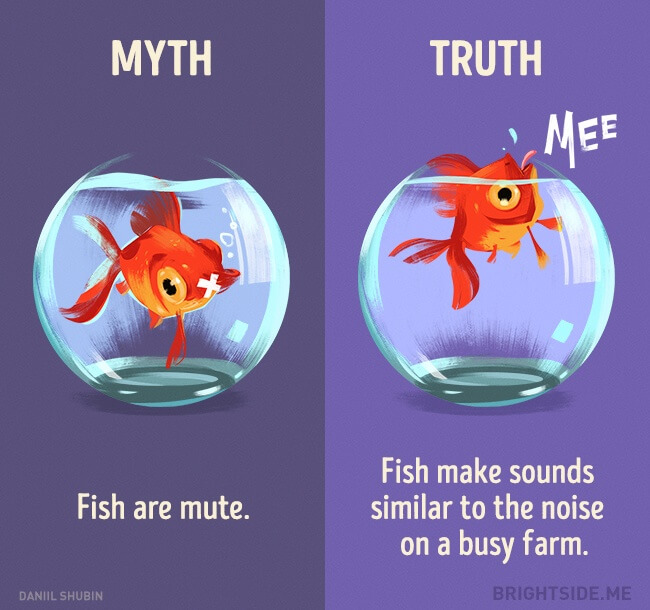 myth vs truth 10 (1)