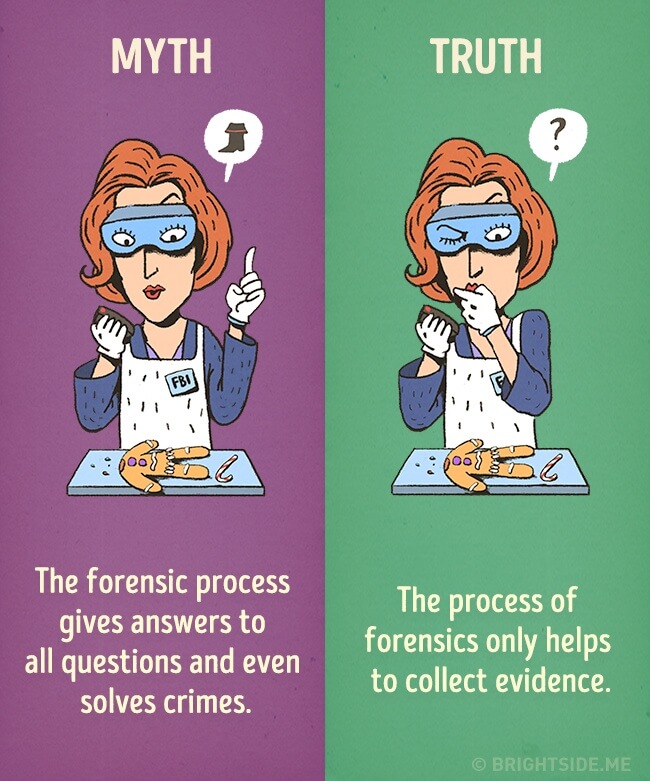 44 Myth Vs Reality Illustrations That Will Make You Think For a Change