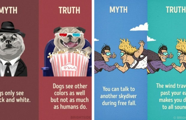 44 Myth Vs Reality Illustrations That Will Make You Think For A Change