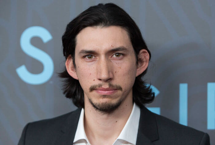 adam driver cat 8 (1)