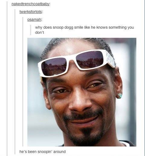 funniest tumblr posts 15 (1)