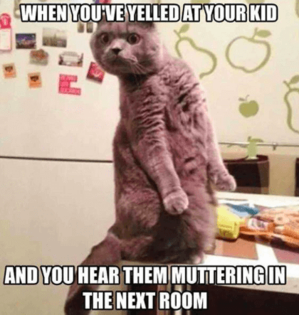 funny parents memes 7 (1)