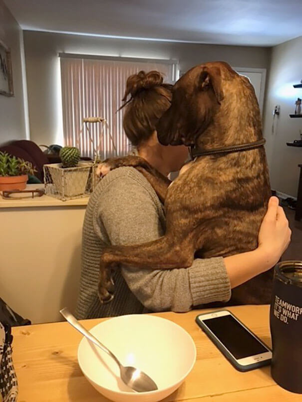 kylo rescued dog hugs owner every day 7 (1)