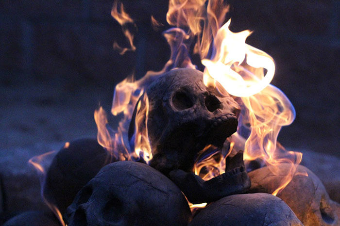 skull fire pit logs 2 (1)