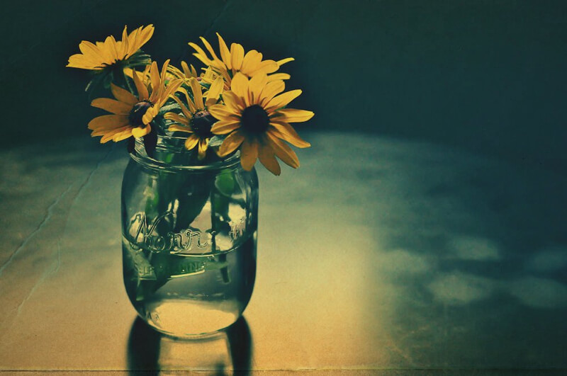  Still Life