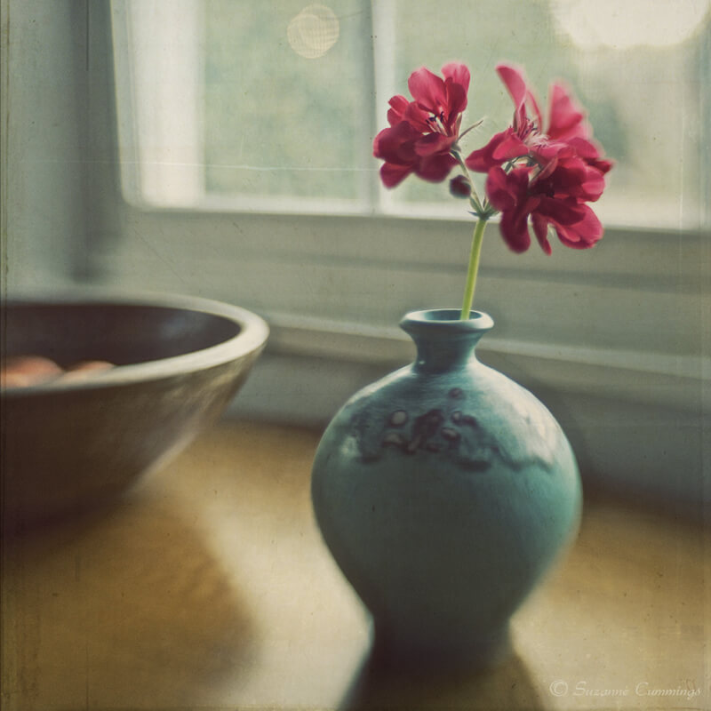 still life photos 7 (1)