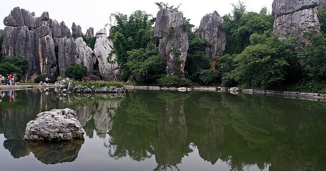 stone forest china 11 (1)