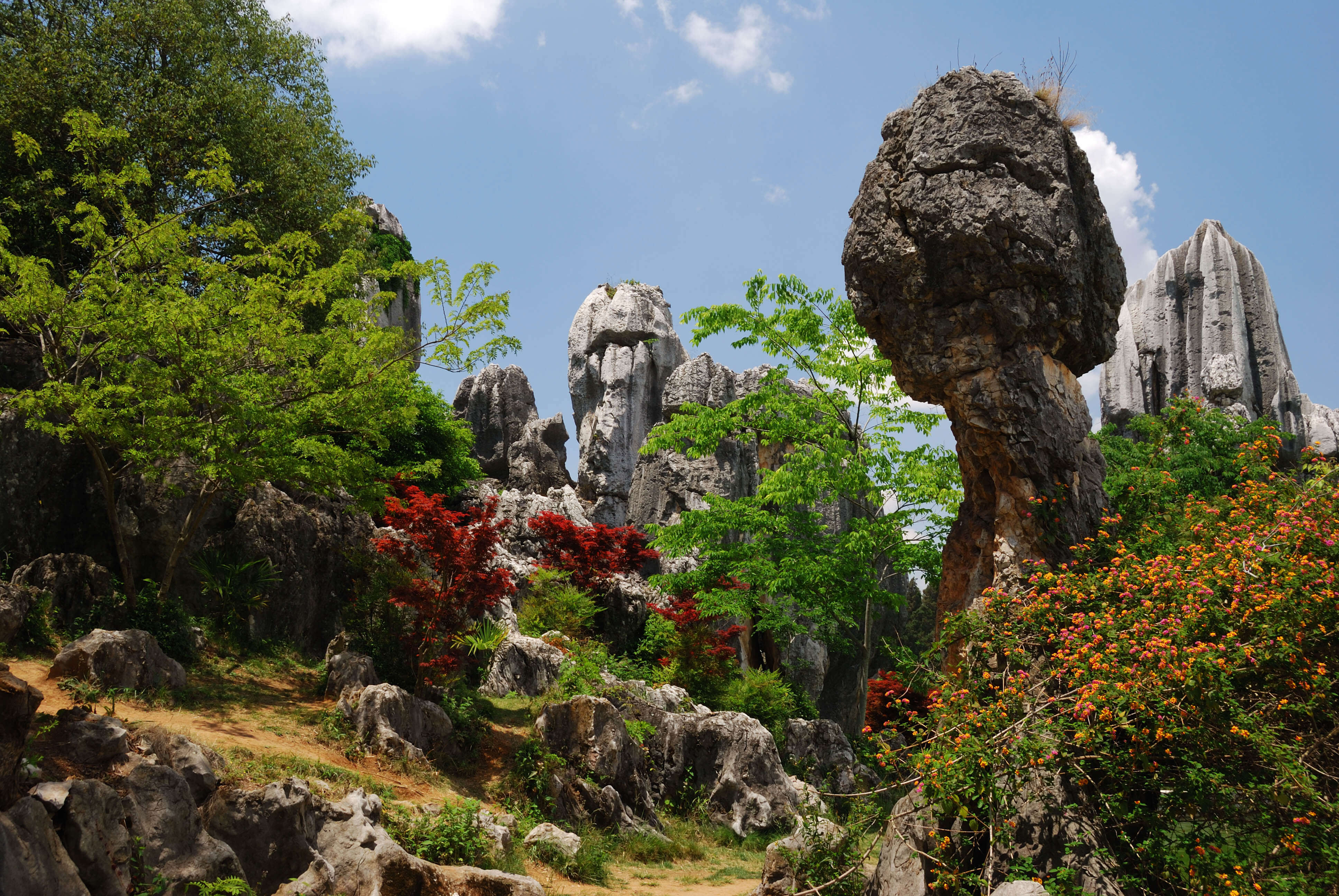 The Stone Forest In China Is a Magical Place You Usually See In Movies