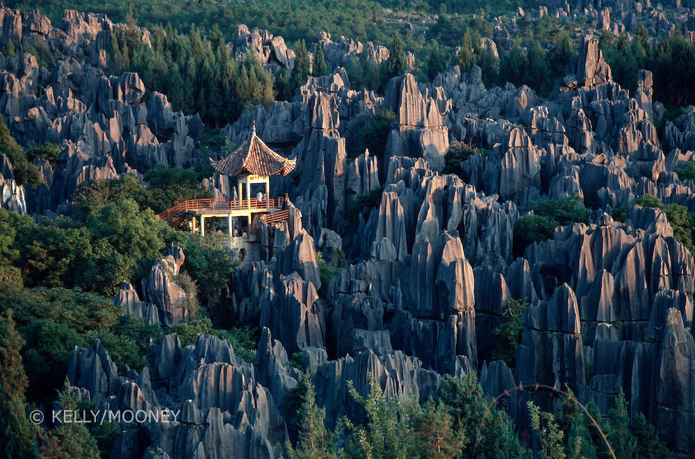 The Stone Forest In China Is a Magical Place You Usually See In Movies