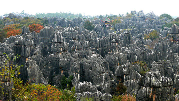 stone forest china 7 (1)