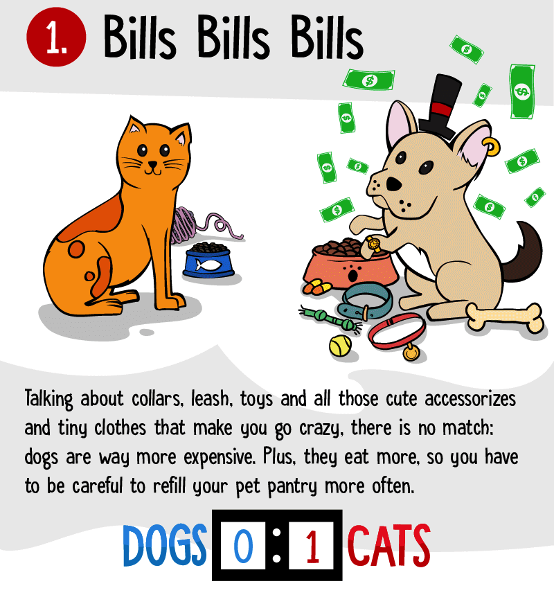 Are Dogs Better Than Cats Facts