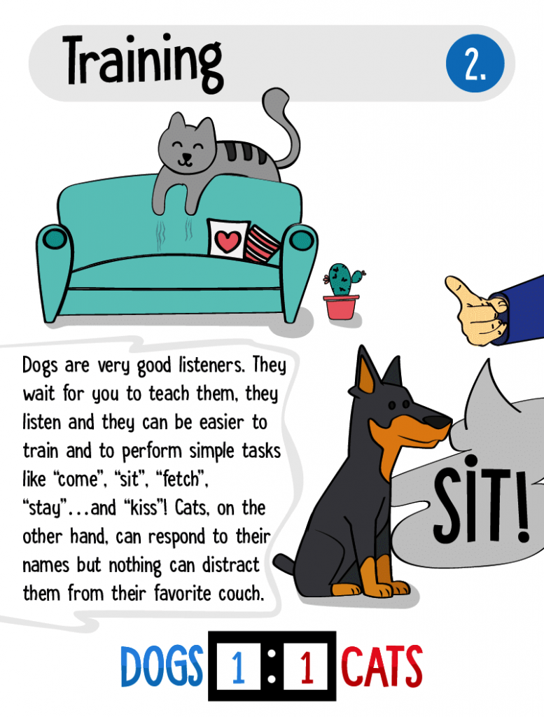 5 paragraph essay on why dogs are better than cats