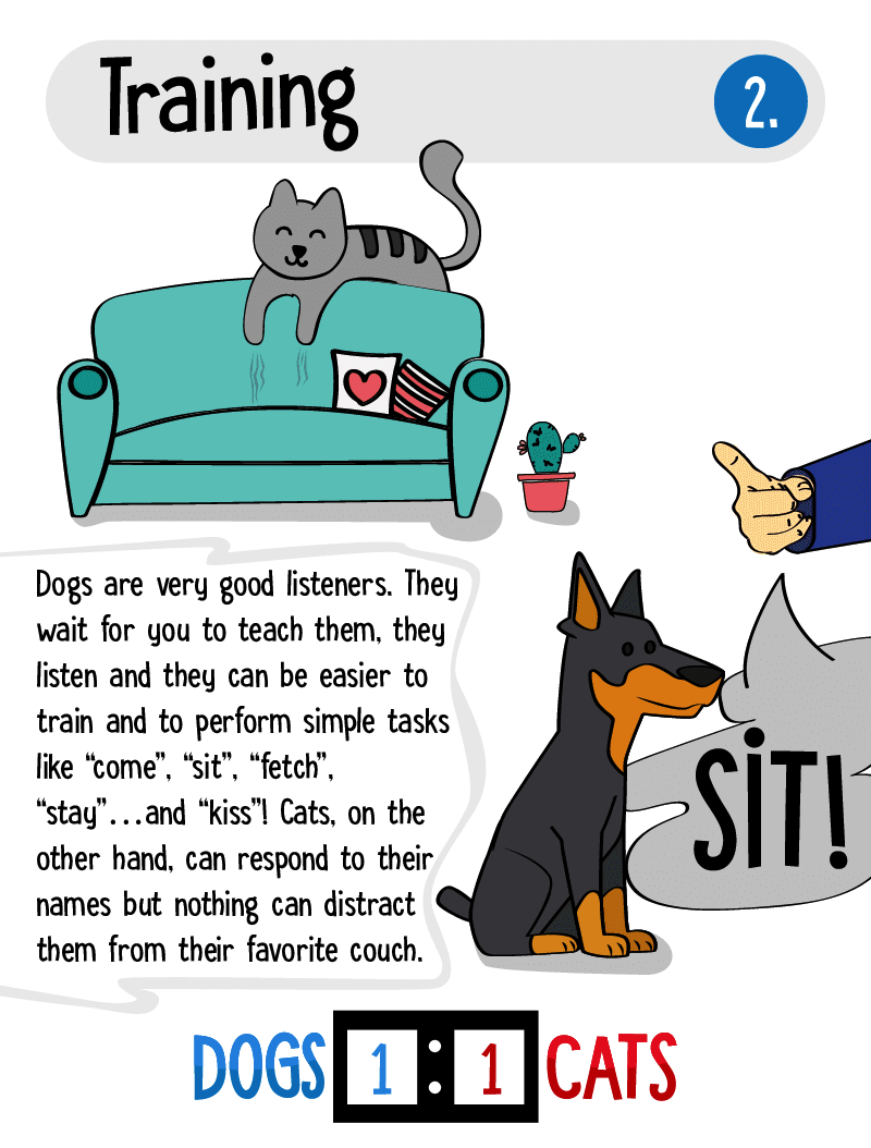 why dogs are better than cats scientifically