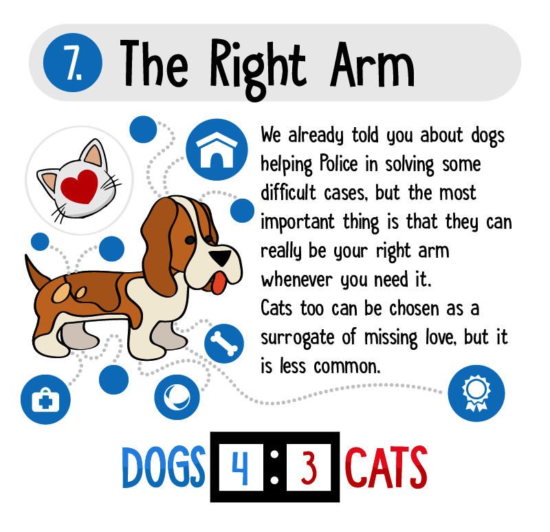 8 Reasons Why Dogs Are Better Than Cats Displayed By An Awesome Infographic