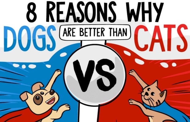 8 Reasons Why Dogs Are Better Than Cats Displayed By An Awesome Infographic