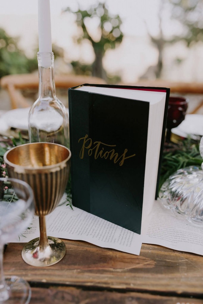 This Harry Potter Themed Wedding Is So Magical It Should Be a Movie