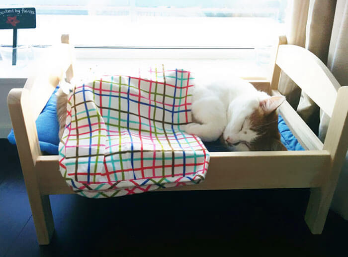 IKEA Donates Doll Beds To Shelter (1)