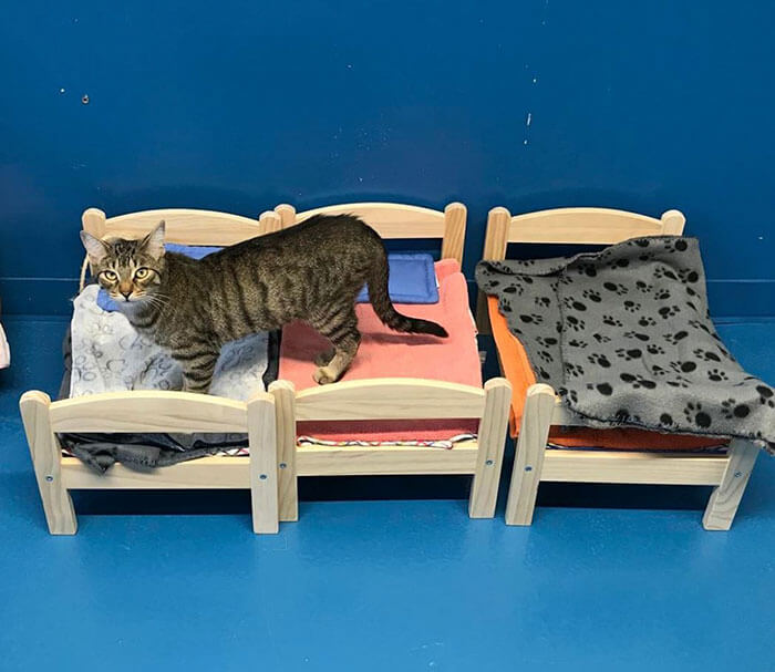 IKEA Donates Doll Beds To Shelter 3 (1)