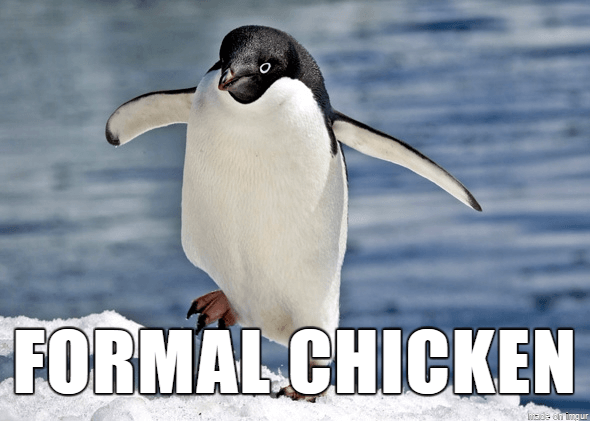 funny names for animals 16 (1)