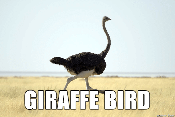 35 Alternate Names For Animals That Are Much Better Than Their Originals