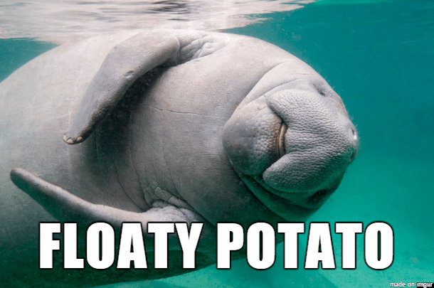 35 Alternate Names For Animals That Are Much Better Than Their Originals