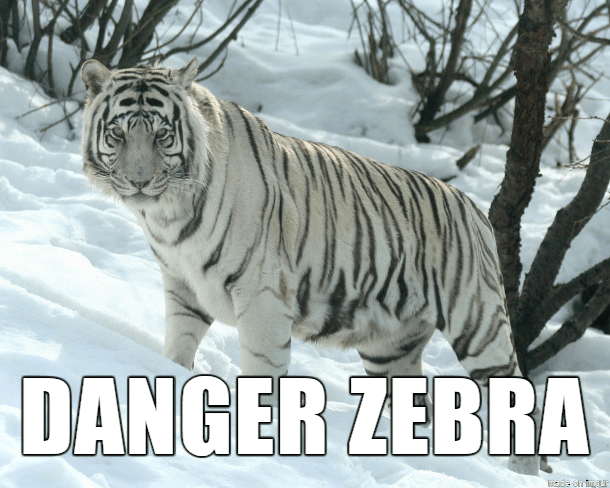 35 Alternate Names For Animals That Are Much Better Than Their Originals