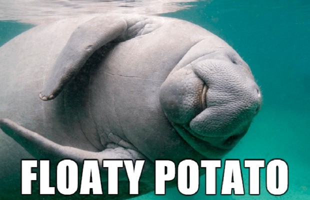 35 Alternate Names For Animals That Are Much Better Than Their Originals