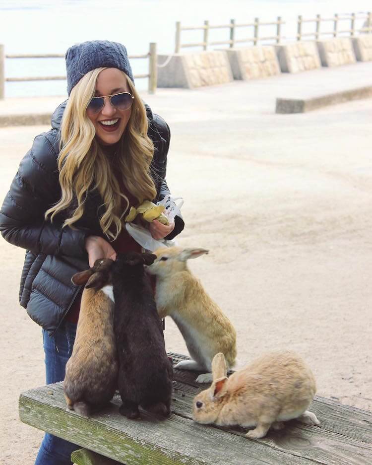 okunoshima rabbit island 5 (1)