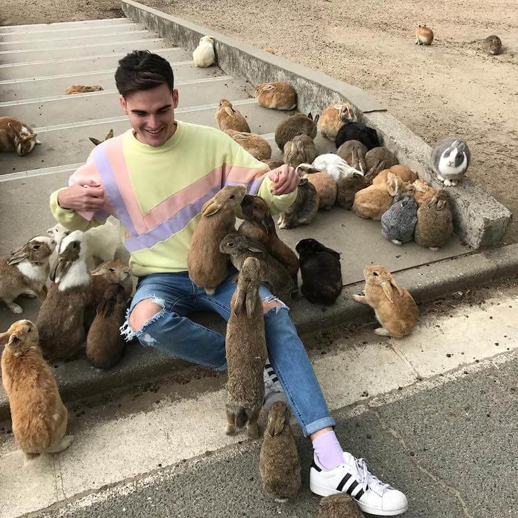 okunoshima rabbit island 6 (1)