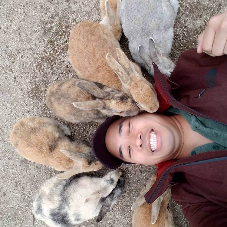 okunoshima rabbit island 8 (1)