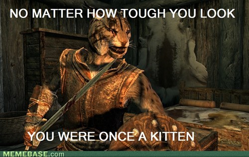 Just let me kill Vighar and go home. : r/SkyrimMemes