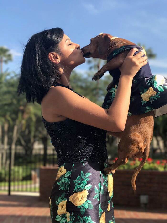 Brenda Sierra dachshund matching prom dress 9