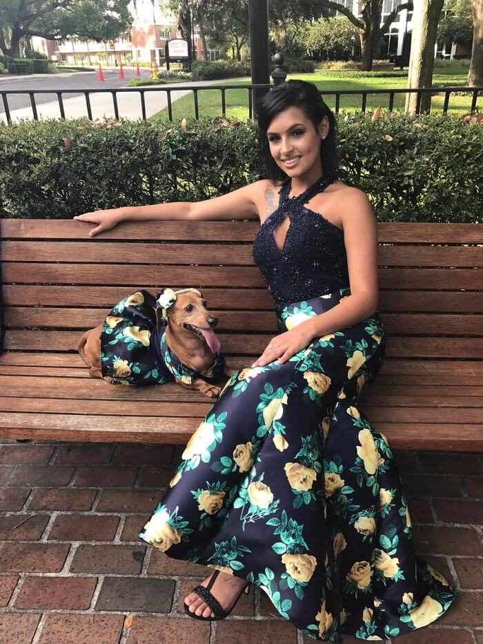 Brenda Sierra dachshund matching prom dress