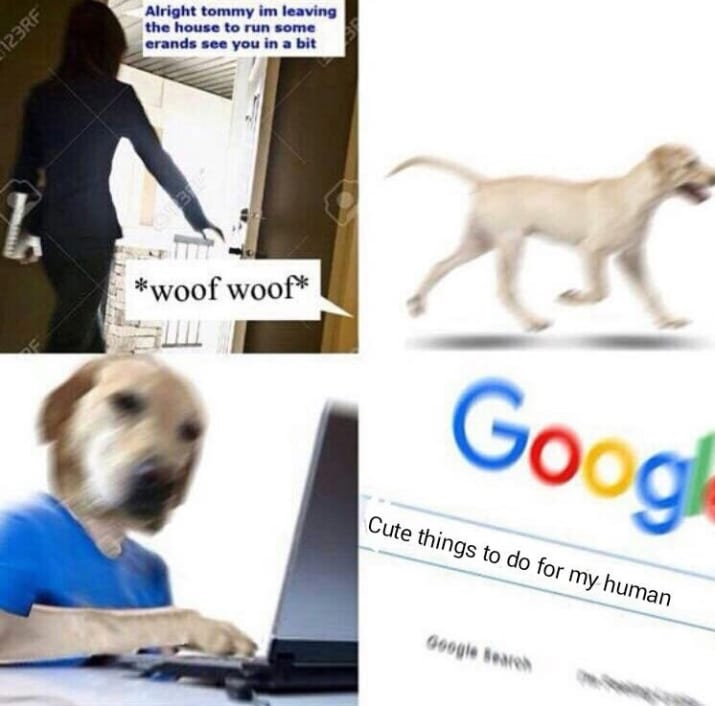 dog memes14