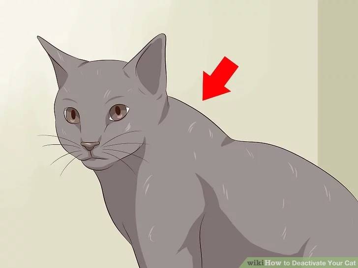 how to deactivate a cat 4
