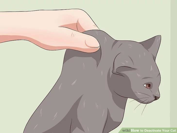 how to deactivate a cat 5