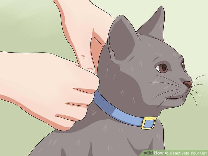 how to deactivate your cat 3