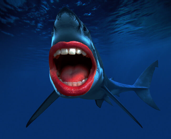 shark with human teeth 17