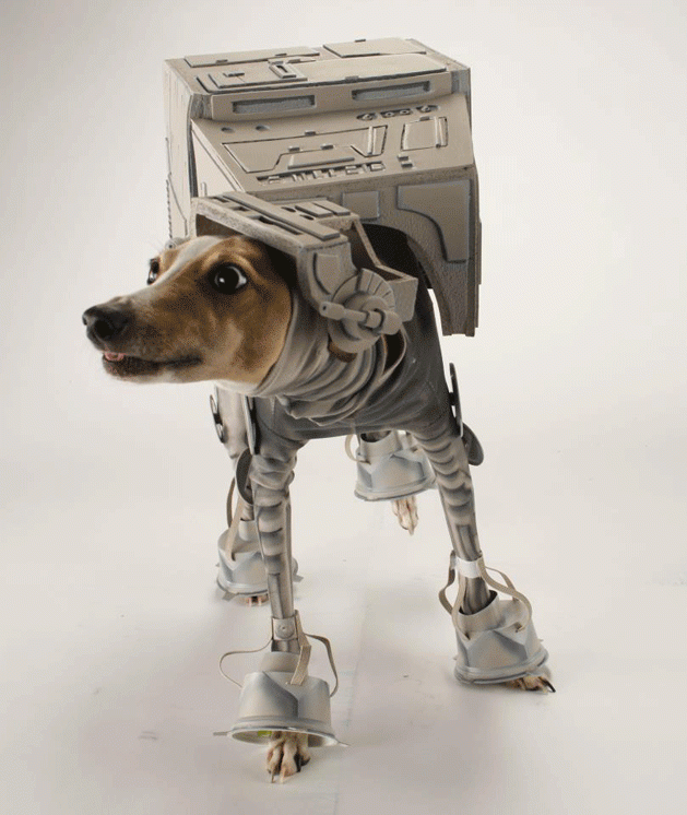 star wars dog costumes 11