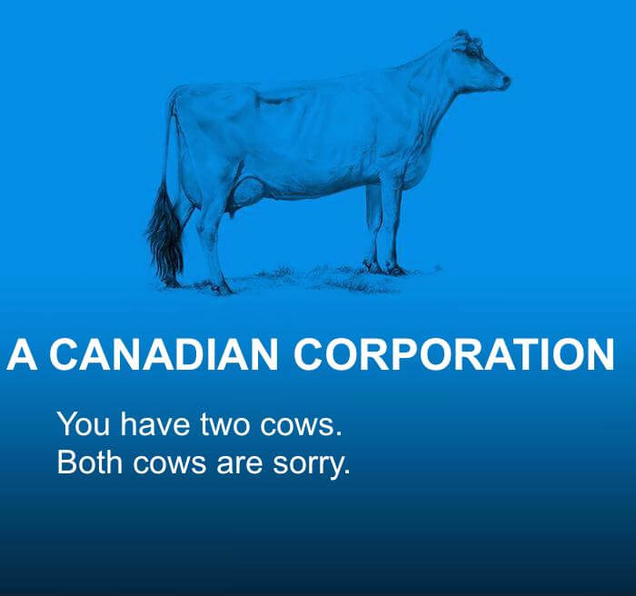 the world economy explained with cows 19