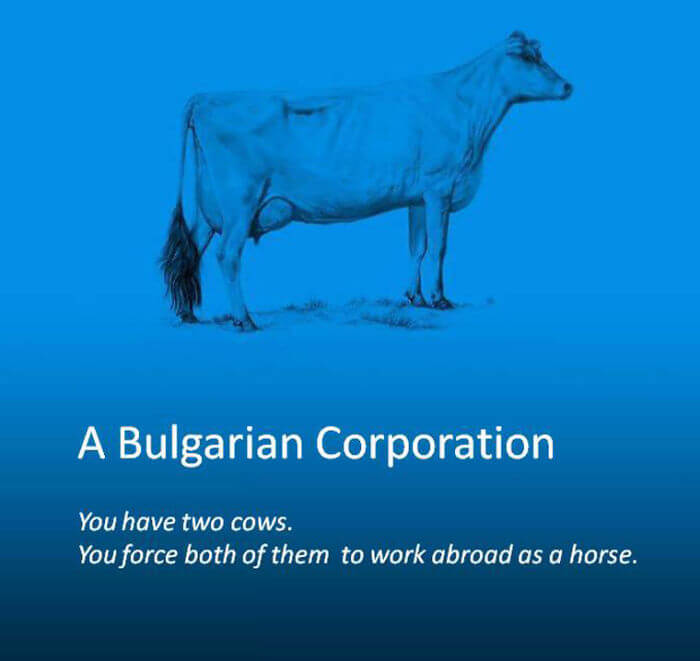 the world economy explained with just two cows 30
