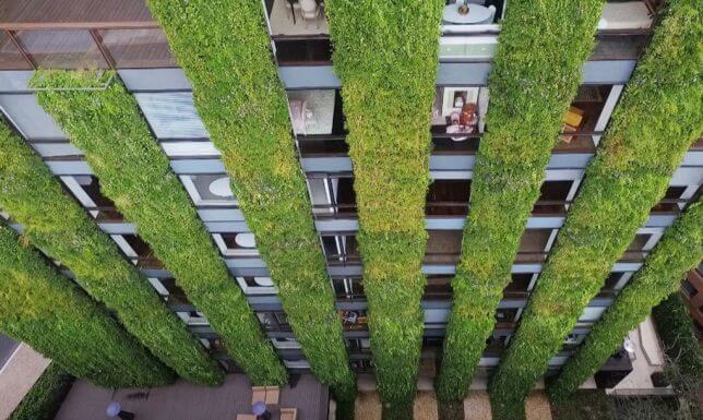 vertical garden building 3